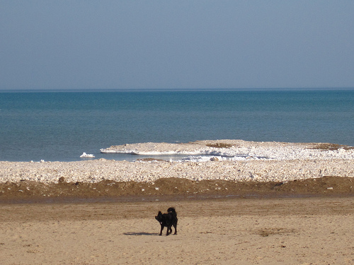 on the beach in purgatory