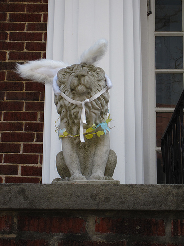 lion with a rabbit heart